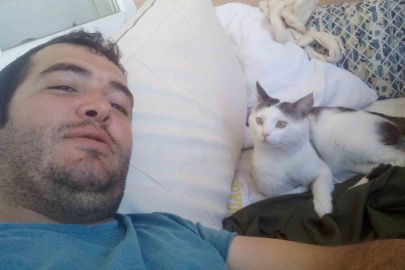 Kaybolan kedisi için binlerce kilometre yol yaptı