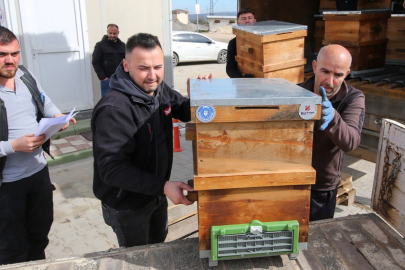Bursa Büyükşehir'den kırsal üretime kovan desteği