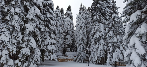 Uludağ’da kış geri dönüyor...Mayısta kar sürprizi yaşanacak